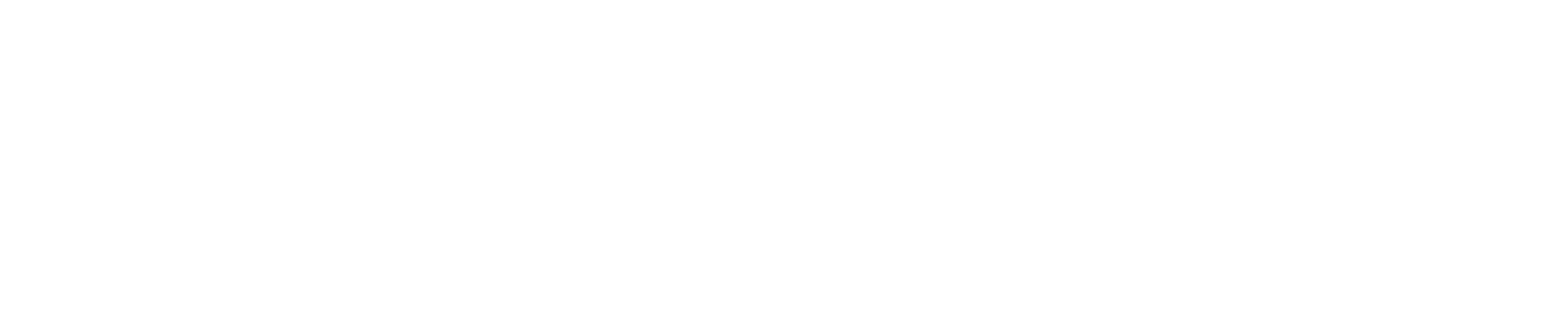 Leo Mancini Haircare